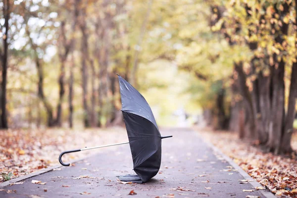 Autunno parco pluviale nel mese di ottobre — Foto Stock