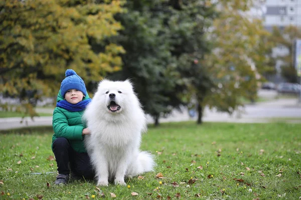 Precioso Chico Paseo Con Hermoso Perro — Foto de Stock