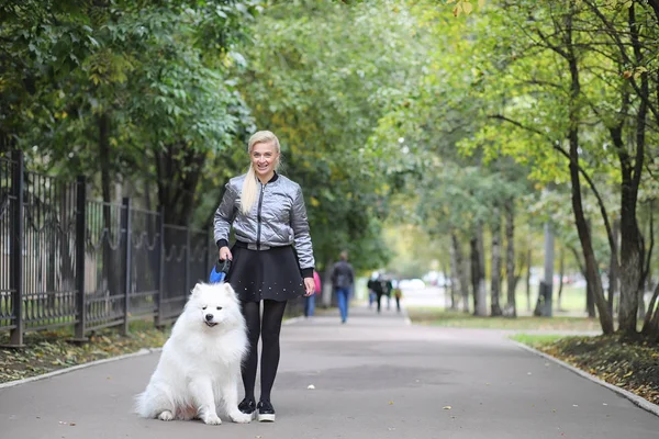 Lovely girl on a walk with a beautiful dog — Stock Photo, Image