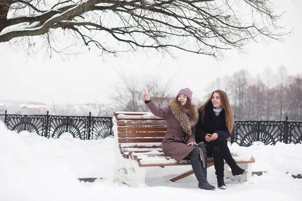 Una joven en un parque de invierno en un paseo. Vacaciones de Navidad en t —  Fotos de Stock