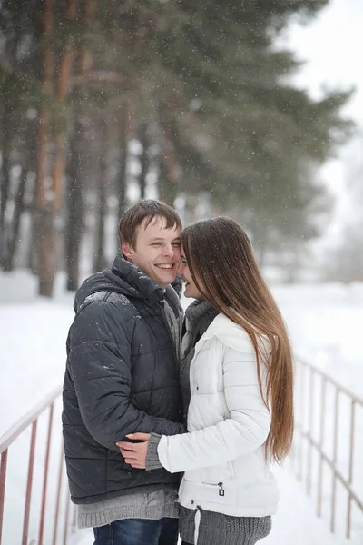 aşıklar bir tarihte kış öğleden sonra kar kar fırtınası çifti