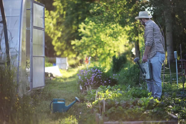 Man bonden vattning en köksträdgård — Stockfoto