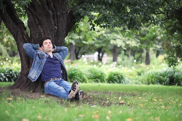 A young man walks in the park at lunch time. A man is on a walk Stock Image