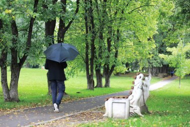 Gözlüklü genç bir adam parkta şemsiyeyle yürür.