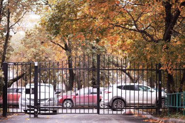 Ekim ayında sonbahar yağmurlu park