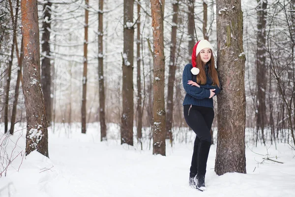 Ein junges Mädchen in einem Winterpark bei einem Spaziergang. Weihnachtsferien in t — Stockfoto