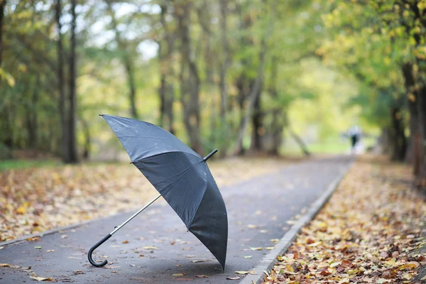 Őszi háttér a parkban — Stock Fotó