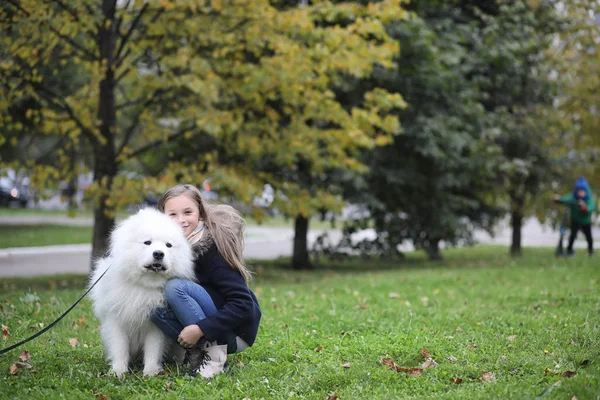 Schöne Mädchen Auf Einem Spaziergang Mit Einem Schönen Hund — Stockfoto