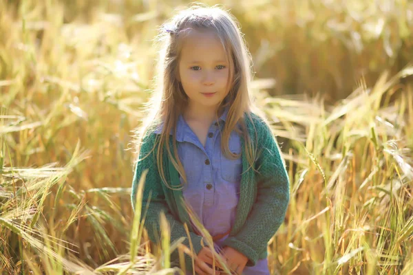 Eine junge Mutter geht auf Weizenfeldern spazieren — Stockfoto