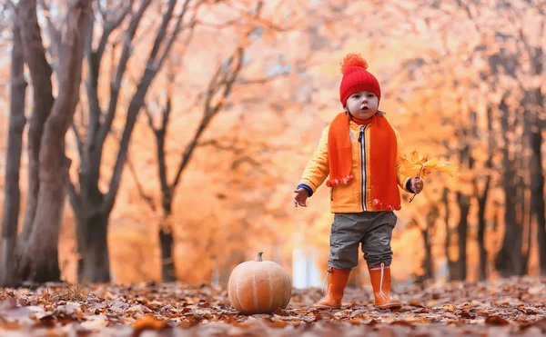 子供たちは、自然に歩いています。夕暮れの子供が歩いています。 — ストック写真