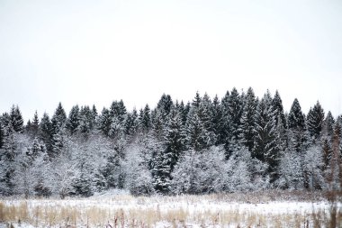 Kırsal alanların kış manzarası ve kardaki yollar