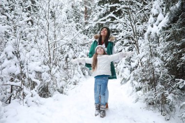 Genç bir aile yürüyüşe çıktı. Anne ve kızı karlı bir parkta yürüyorlar..