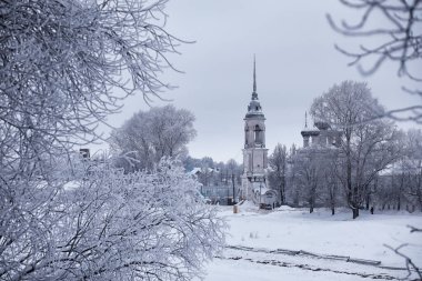 Kış orman manzarası. Kar altında uzun ağaçlar. Ocak ayının soğuk günü parkta.