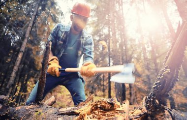 Ormanda ağaç kesen baltalı bir erkek işçi..