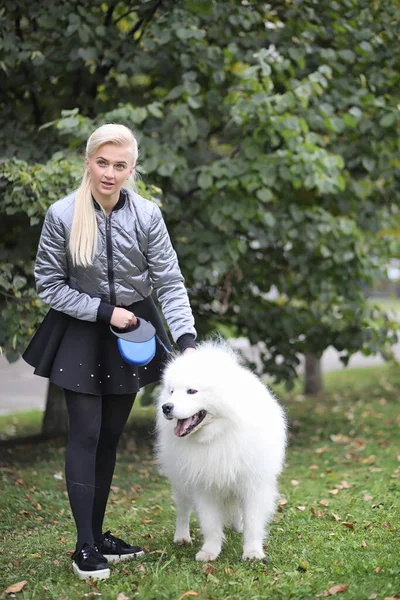 Lovely Girl Walk Beautiful Fluffy Dog Samoye — Stock Photo, Image