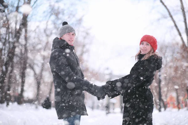 两对年轻夫妇走过了冬天 — 图库照片