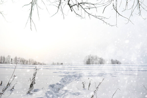 Зимний пейзаж сельских полей и дорог в снегу