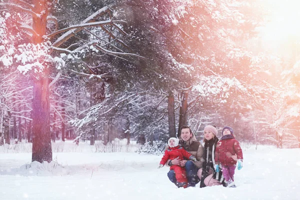 Młode Rodziny Dziećmi Spacery Parku Zimowym Zimowy Spacer Rodziców Dziećmi — Zdjęcie stockowe