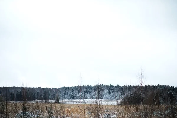 Vinterlandskap Land Fält Och Vägar Snön — Stockfoto