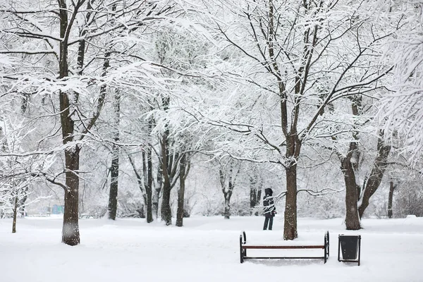 Vinterlandskap Skog Snön Vinterpark — Stockfoto