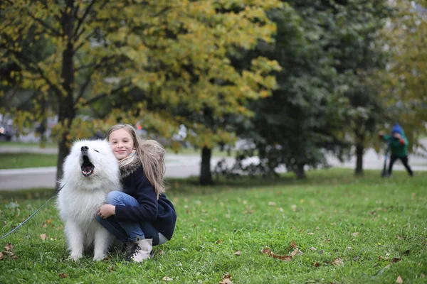 Schöne Mädchen Auf Einem Spaziergang Mit Einem Schönen Hund — Stockfoto