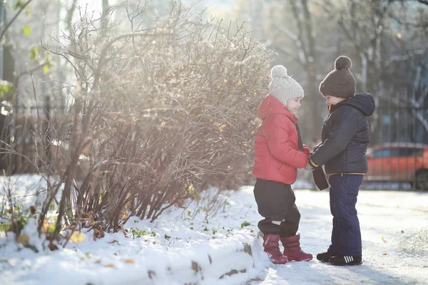 Niños Parque Invierno Jugar Con Sno — Foto de Stock