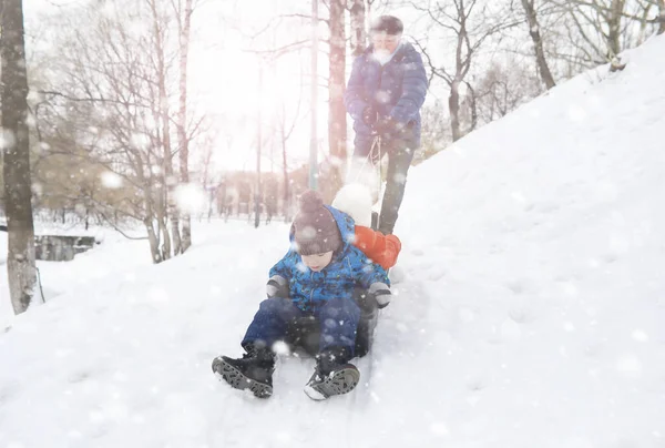 Kinderen Het Park Winter Kinderen Spelen Met Sneeuw Speelplaats Boetseren — Stockfoto