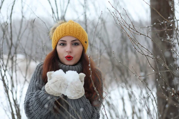 Mooi Meisje Een Prachtig Park Van Winter Voor Een Wandeling — Stockfoto