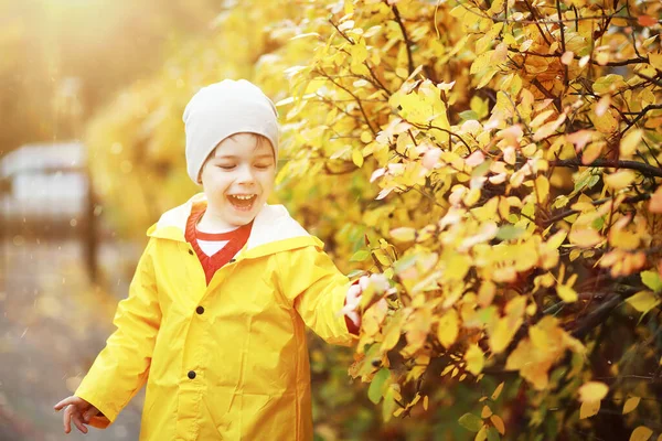 Les Enfants Marchent Dans Parc Automne Automne — Photo