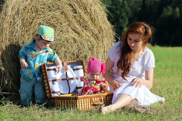 Mãe Com Gêmeos Campo — Fotografia de Stock