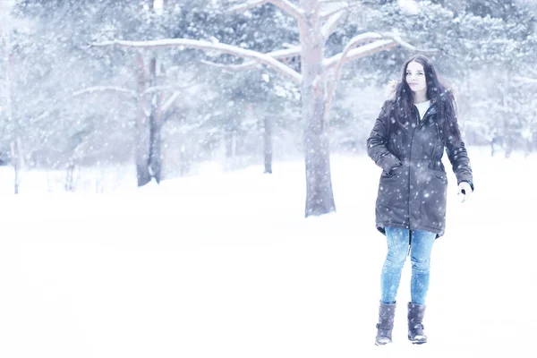 Piękna Dziewczyna Parku Snow Zima Piękny Dzień — Zdjęcie stockowe