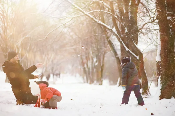 Niños Parque Invierno Jugar Con Sno — Foto de Stock