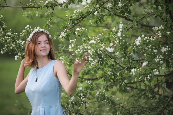 Girl Blue Dress Green Summer Park — Stock Photo, Image