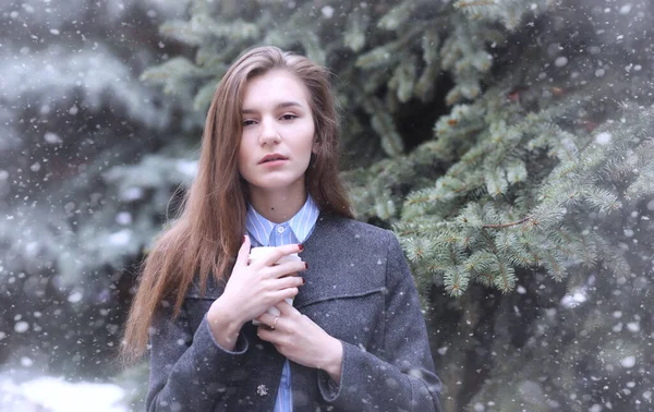 Young girl outdoors in winter. Model girl posing outdoors on a winter day. Festive weekend in the street walking girl