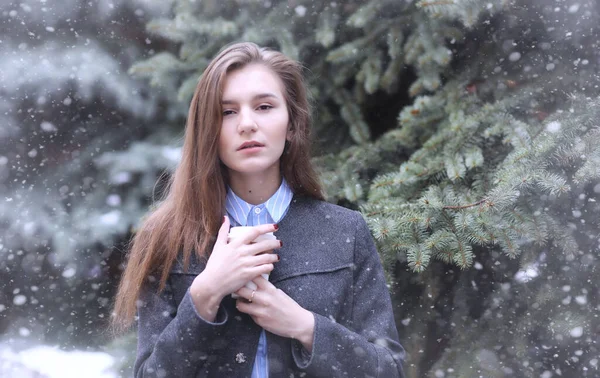 Jong Meisje Buiten Winter Model Meisje Poseren Buitenshuis Een Winterdag — Stockfoto