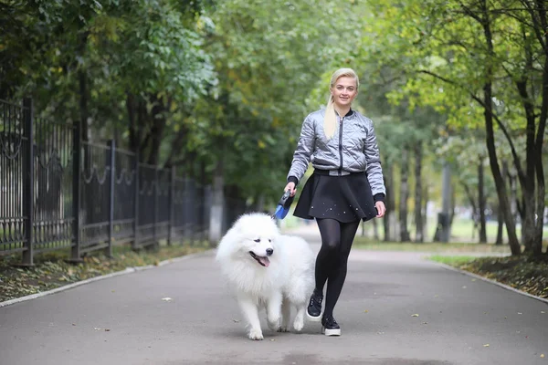 Härlig Tjej Promenad Med Vacker Fluffig Hund Samoye — Stockfoto