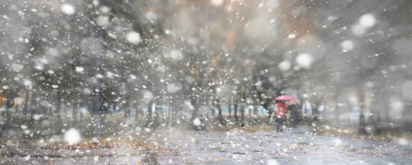 Fundo Outono Parque Nos Dias Primeiro Sno — Fotografia de Stock