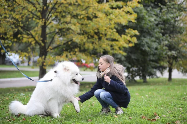 Härlig Flicka Promenad Med Vacker Hund — Stockfoto