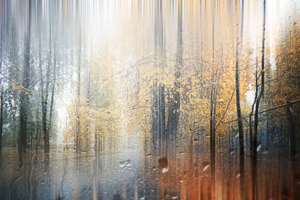 Achtergrond Herfst Regen Het Park Tijdens — Stockfoto