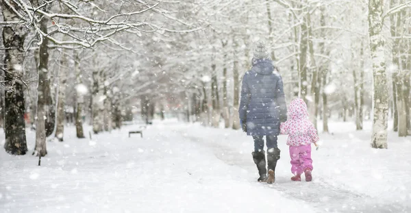 Winterpark Onder Sneeuw Sneeuwstorm Het Stadspark Park Voor Wandelingen Met — Stockfoto