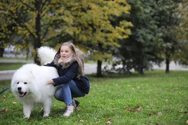 Schöne Mädchen Auf Einem Spaziergang Mit Einem Schönen Hund — Stockfoto