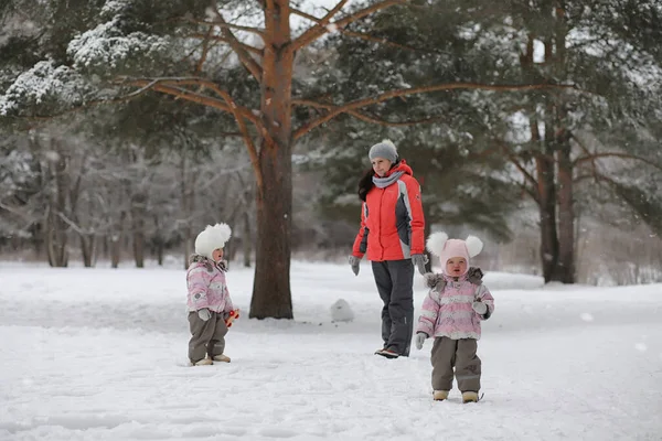 Children walk in the park in winter. Winter forest family with children on a walk. A cold winter day is a family walk