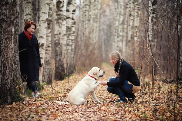 Tonårstjej Med Mamma Hundpromenad Höstträdgården — Stockfoto