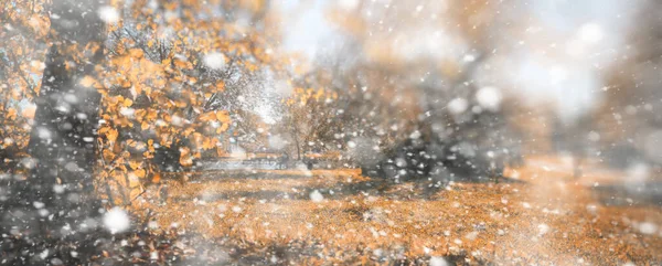 最初のスノの日の背景秋の公園 — ストック写真