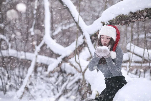 Κορίτσι Χειμερινό Πάρκο Απόγευμα Χιονόπτωση — Φωτογραφία Αρχείου
