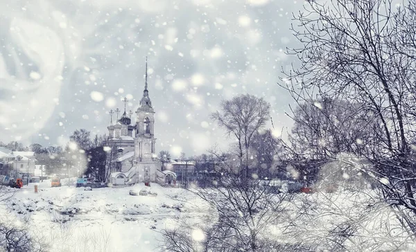 Winterbos Landschap Hoge Bomen Onder Sneeuw Januari Ijzige Dag Park — Stockfoto