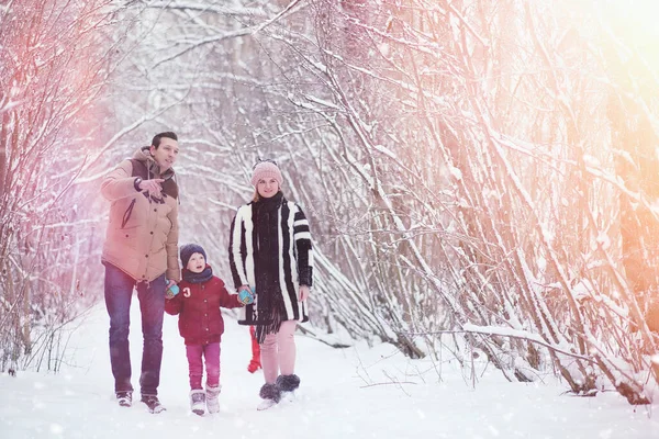 Giovani Famiglie Con Bambini Camminano Nel Parco Invernale Passeggiata Invernale — Foto Stock