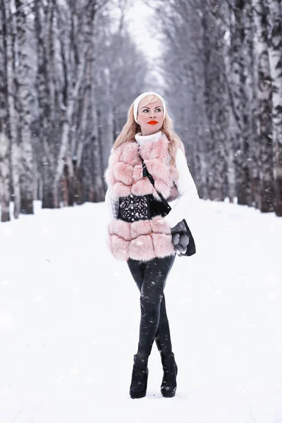 Блондинка Прогулке Зимнем Парке Облачно — стоковое фото