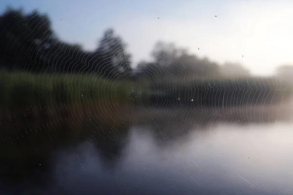 Mlha Jezeře Ranní Příroda Voda Bílá Mlha — Stock fotografie