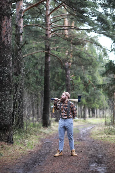 Büyük Bir Balta Ile Sakallı Bir Oduncu Ağaç Felling Önce — Stok fotoğraf